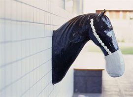 Chiostro della Pace all'Universit� degli Studi di Salerno (Dettaglio)