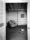 Total view (The Whistling of the Forest) - Room n.2