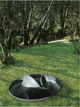 Jannis Kounellis - Without title, La Marrana